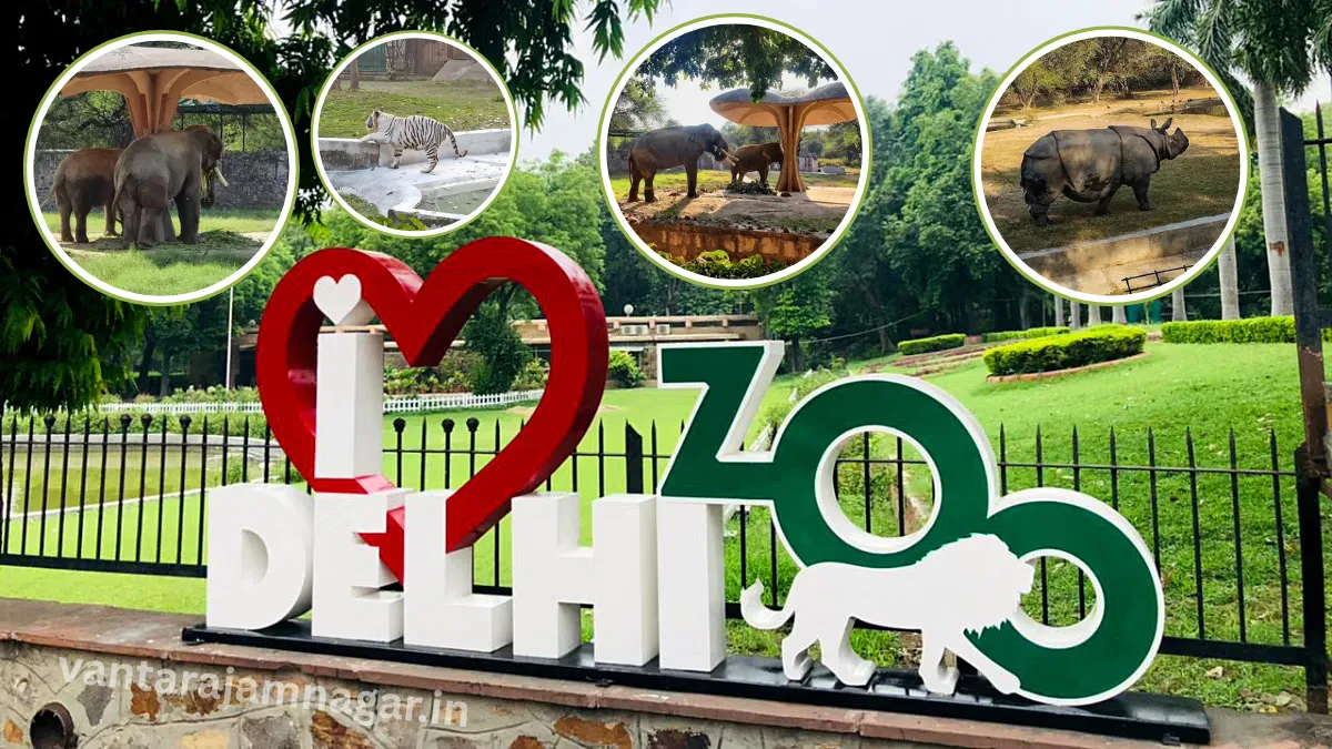 DELHI ZOO DEVELOPED LIKE VANTARA