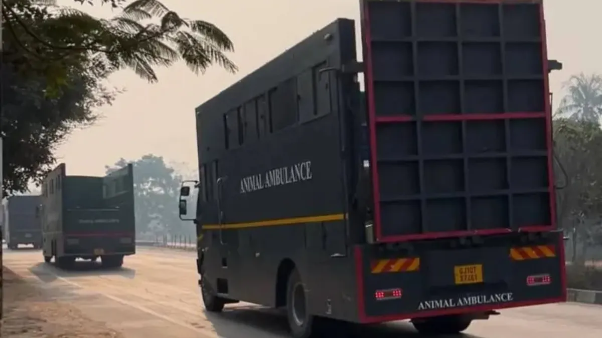 75 High-Tech Emergency Ambulances