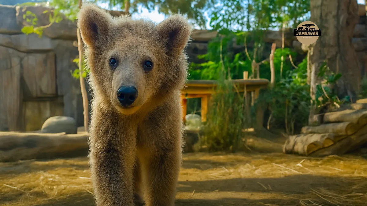 Greens Zoological Rescue And Rehabilitation Centre