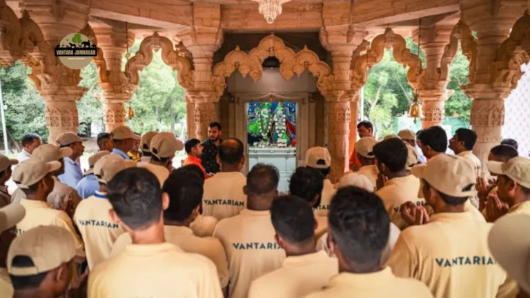 Vantara Gajsevak Sammelan