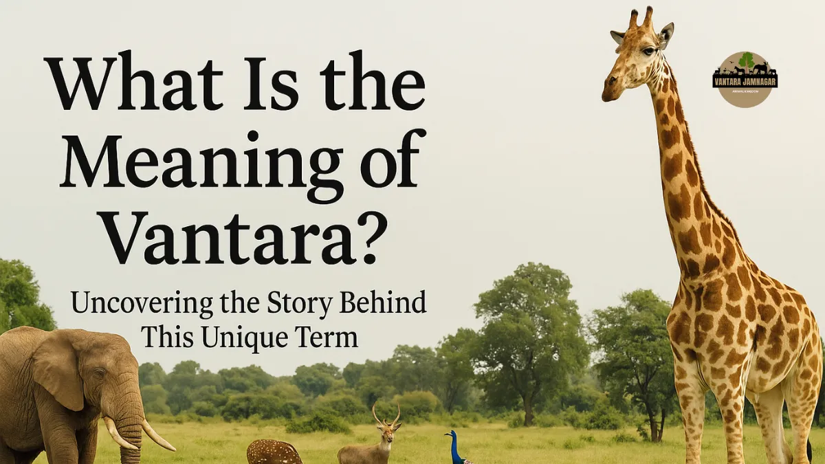 What is the meaning of Vantara