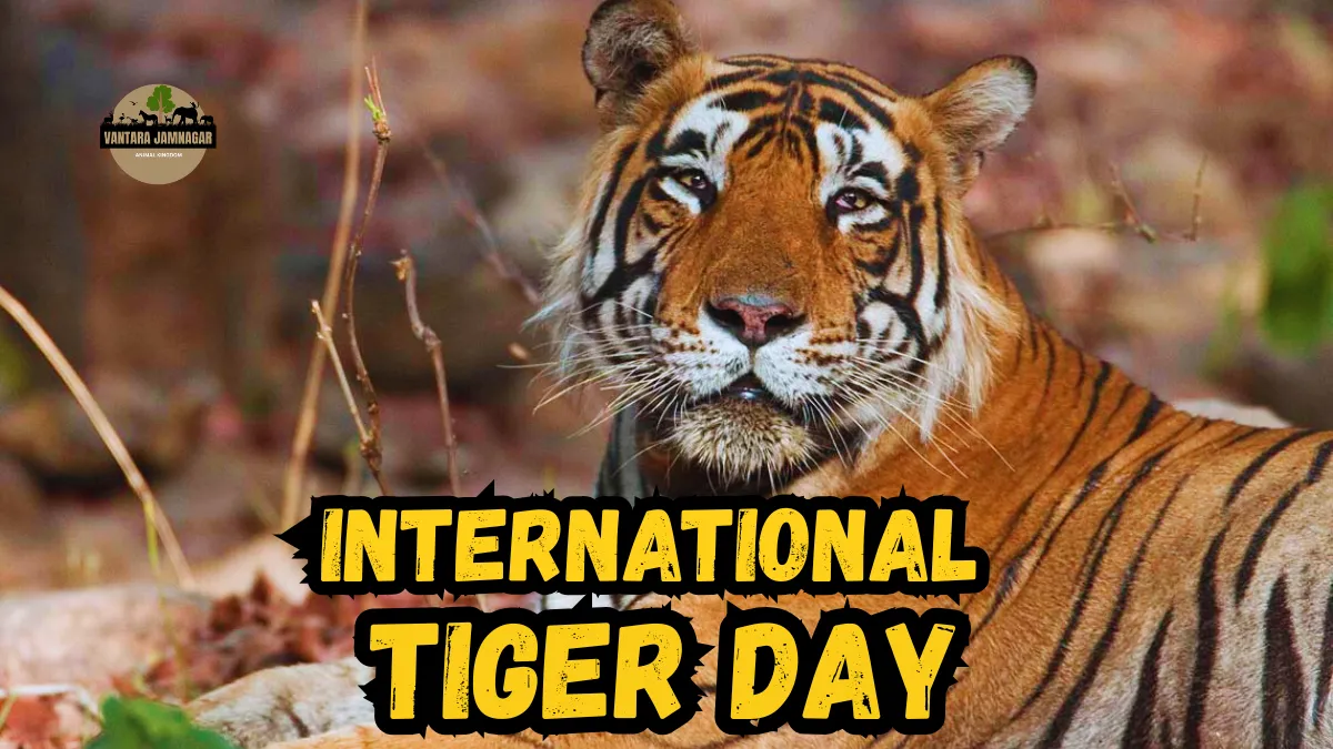 International Tiger Day