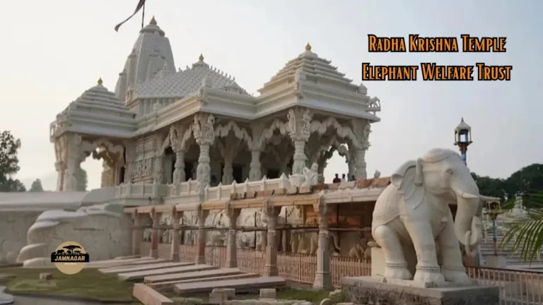 What is Radha Krishna Temple Elephant Trust