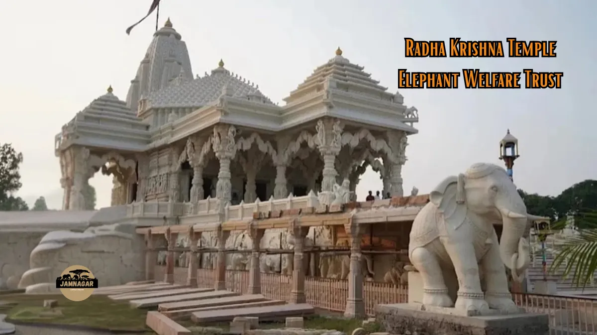 What is Radha Krishna Temple Elephant Trust