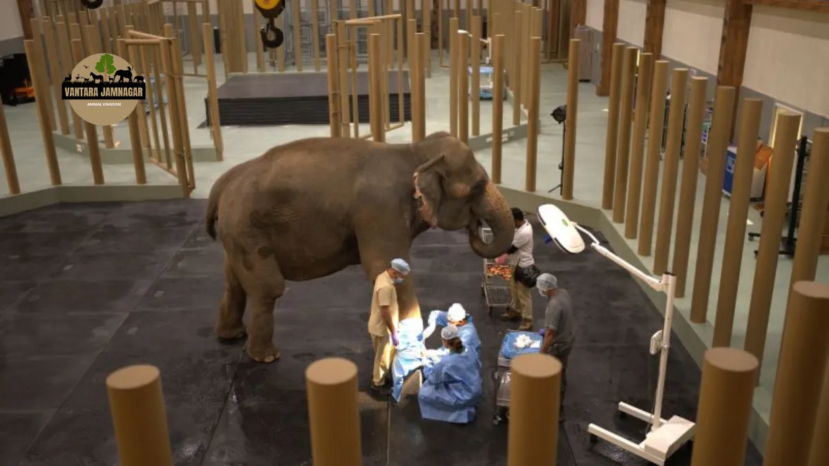 Vantara Wildlife Rescue Center
