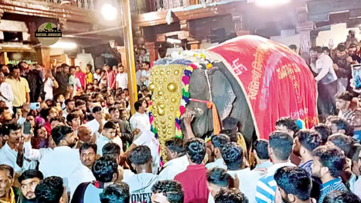 Madhuri Elephant