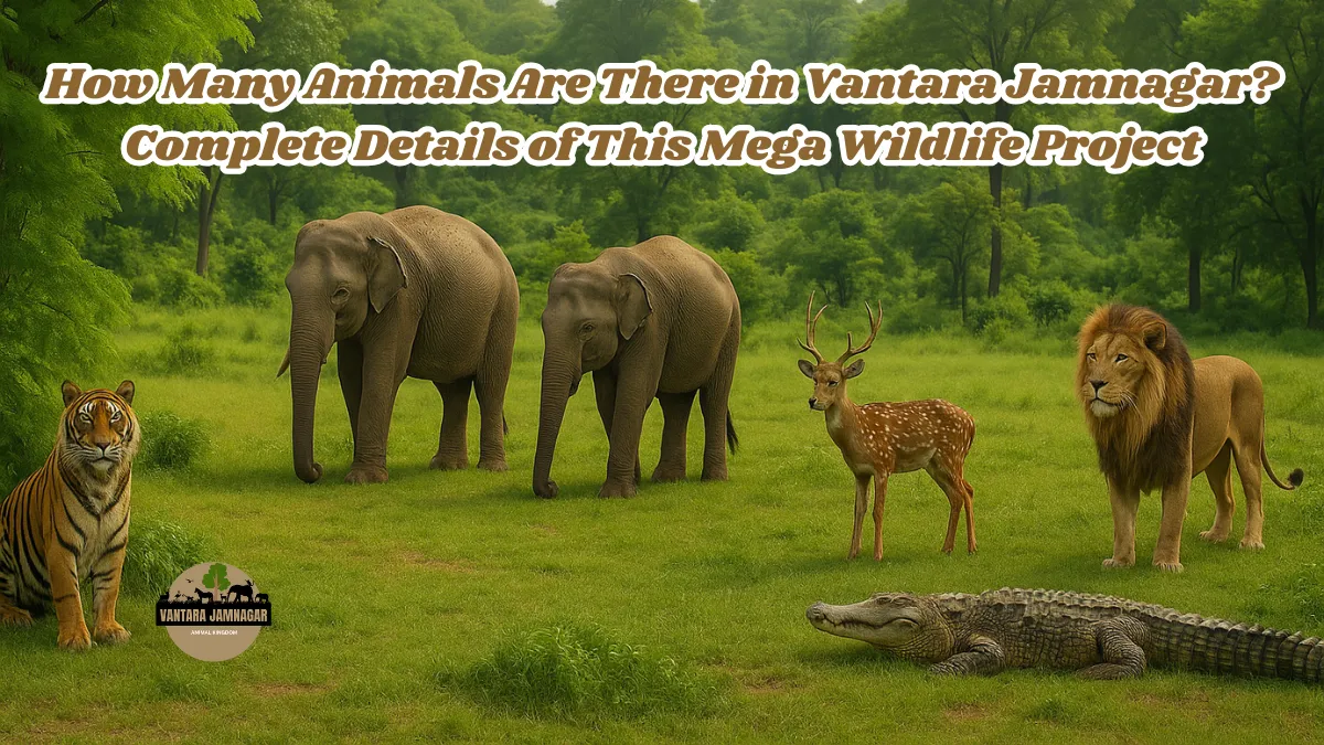 How Many Animals Are There in Vantara Jamnagar