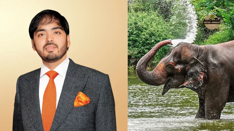 Mahadevi Elephant