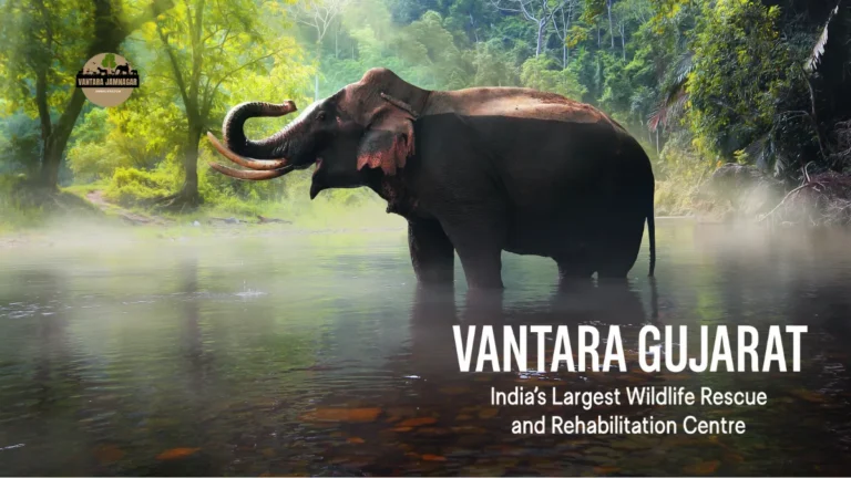 Vantara Gujarat