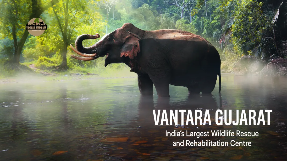 Vantara Gujarat